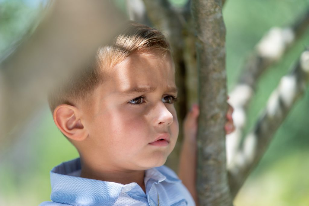 Portrait d'un jeune garçon dans les arbres. Photo Studio Polidori